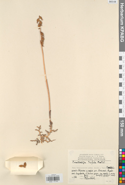 KPABG013450