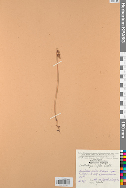 KPABG013451