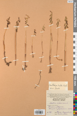 KPABG013453