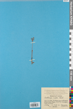 KPABG013463