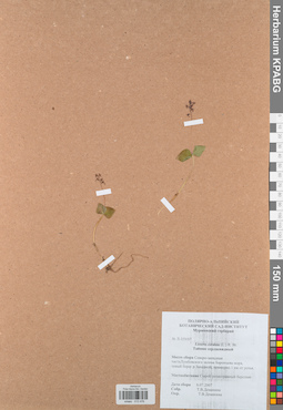 KPABG013476