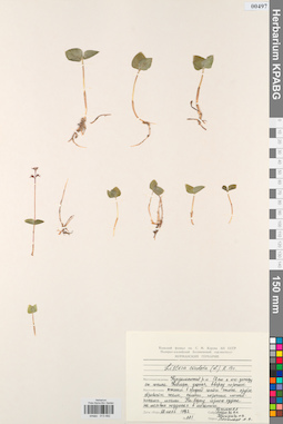 KPABG013482