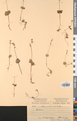 KPABG013496
