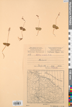 KPABG013497