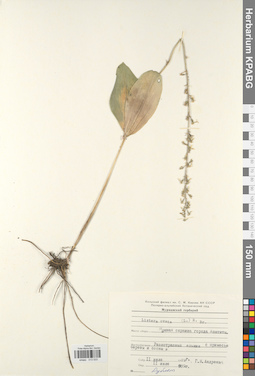 KPABG013533
