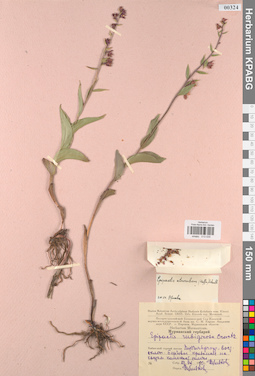 KPABG013535