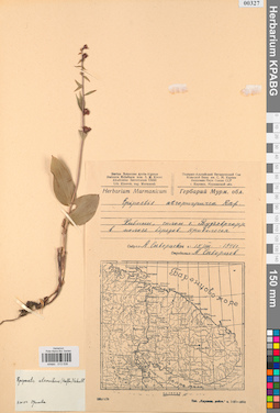KPABG013538