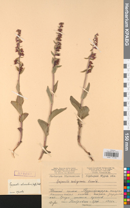 KPABG013545