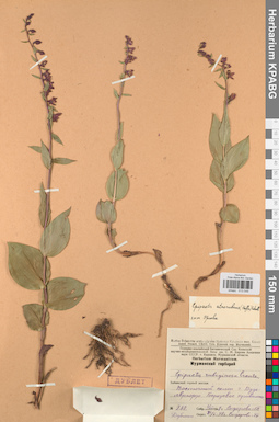 KPABG013546