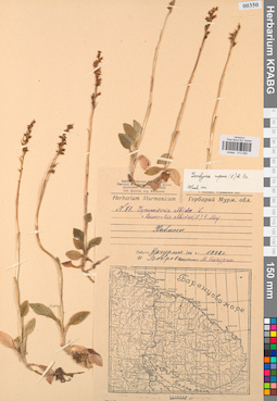 KPABG013580
