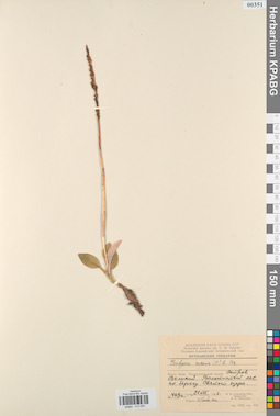 KPABG013581