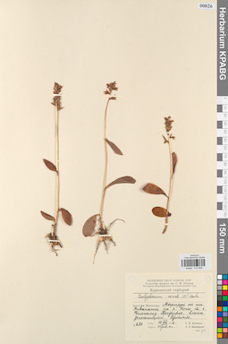 KPABG013626