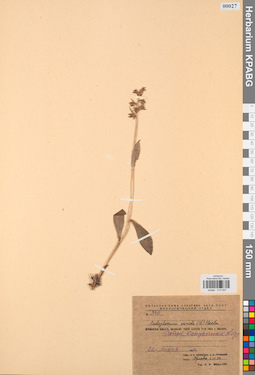KPABG013627