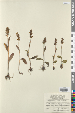 KPABG013635