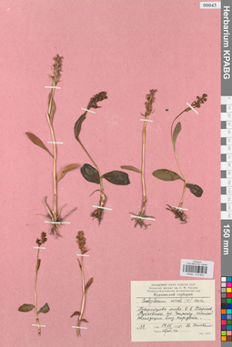 KPABG013643