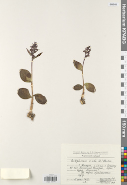 KPABG013646