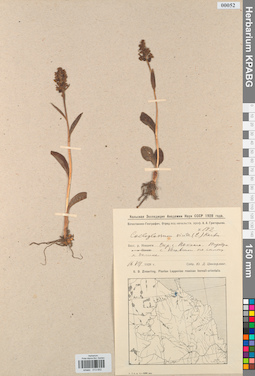 KPABG013652