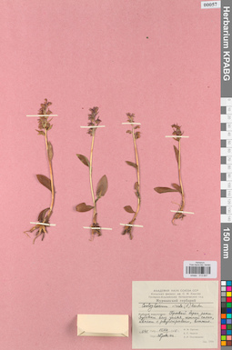 KPABG013657