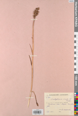 KPABG013681