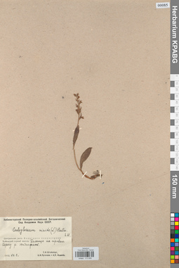 KPABG013685