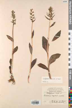 KPABG013688