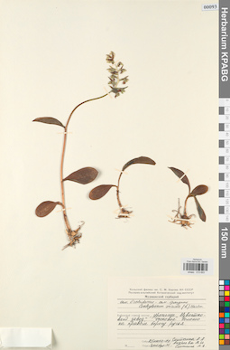 KPABG013693