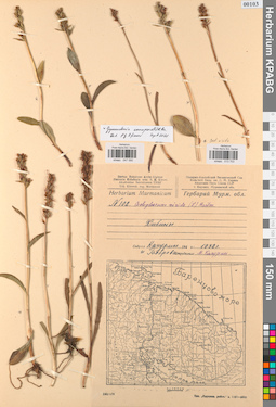 KPABG047590