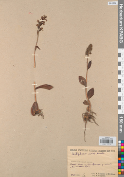 KPABG013708