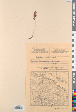 KPABG013709