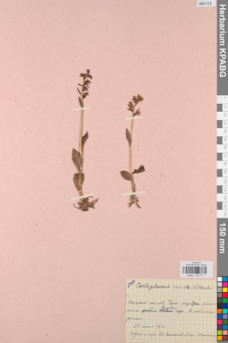 KPABG013711