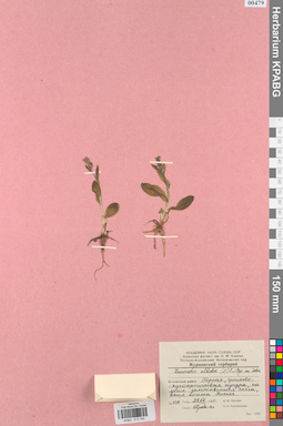 KPABG013748