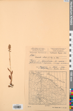 KPABG013753