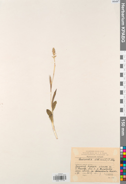 KPABG013756
