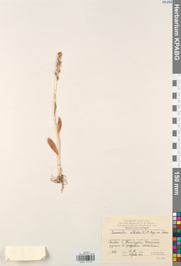 KPABG013757