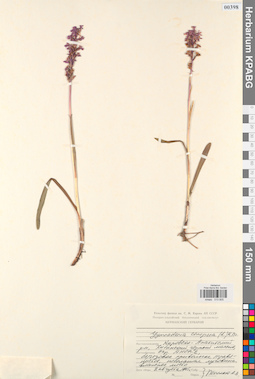 KPABG013805