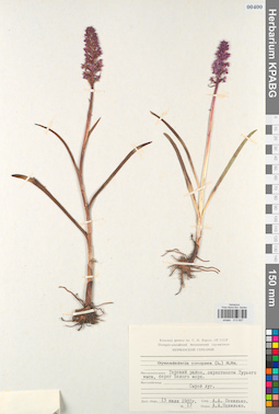 KPABG013807