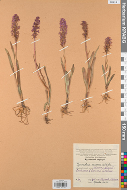 KPABG013821