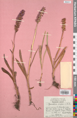 KPABG013822