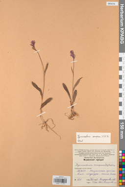KPABG013823