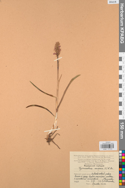 KPABG013825
