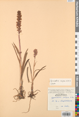 KPABG013830