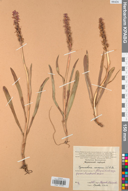 KPABG013833