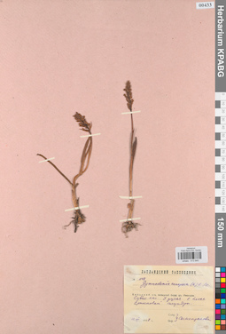 KPABG013840