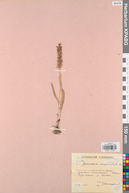 KPABG013845