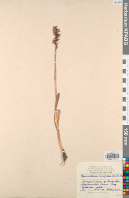 KPABG013846