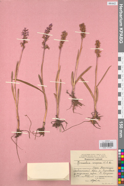 KPABG013849