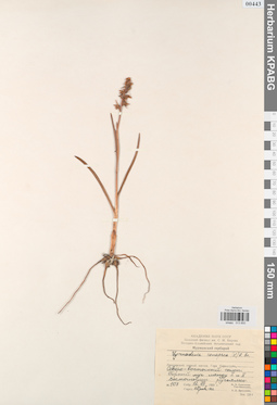 KPABG013850