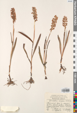 KPABG013852