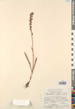 KPABG013856