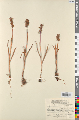 KPABG013863